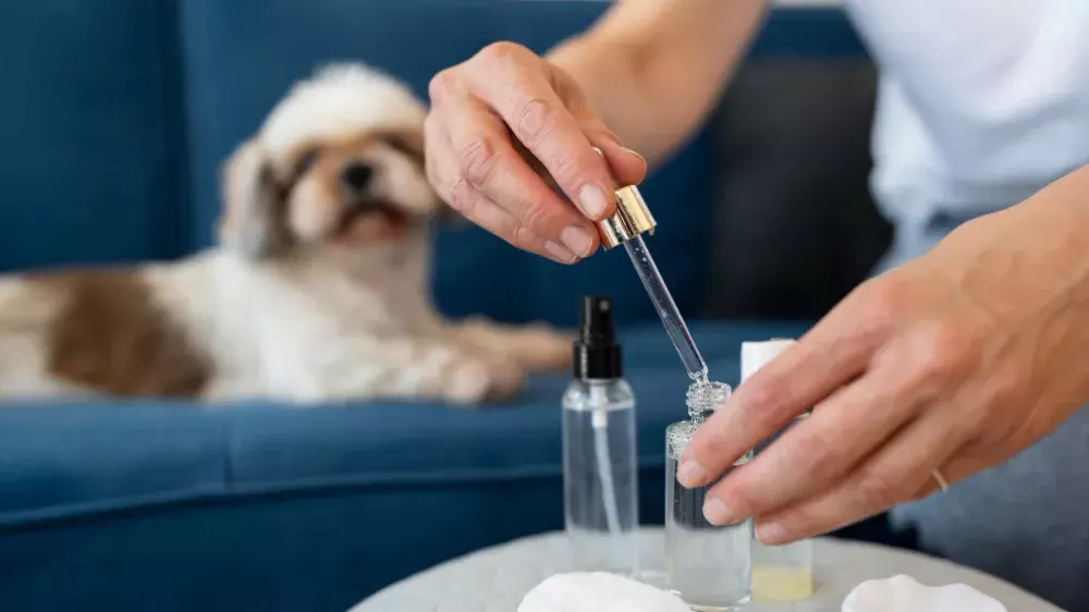 Why Regular Pet Grooming Is Essential for Your Pet’s Health, Hygiene & Happiness